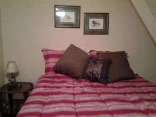 Modern A-Frame Cabin with a Hot Tub near Millwood Lake, Arkansas - 2