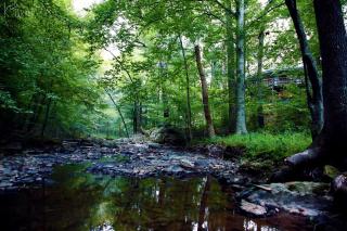 Spacious Round Tree House Ideal for a Remote Escape in North Carolina - Rougemont - 7