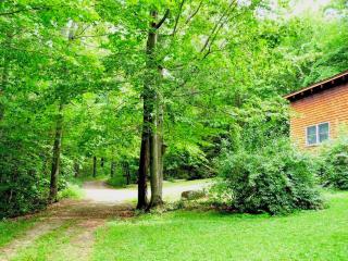 Cozy Vacation Cabin near Allegheny State Forest, Pennsylvania - Penfield - 8