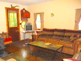 Cozy Vacation Cabin near Allegheny State Forest, Pennsylvania - Penfield - 7