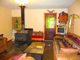 Cozy Vacation Cabin near Allegheny State Forest, Pennsylvania - Penfield - 6