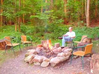 Cozy Vacation Cabin near Allegheny State Forest, Pennsylvania - Penfield - 6