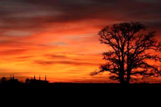 Pet-Friendly Accommodation on a Ranch in McDade, Texas - 1