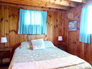 Rustic Cabin Rental on a Wildlife Sanctuary in Manistee, Michigan - 6