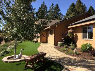 Luxury Cabin Rental with a Fire Pit in Coulterville, California - Coulterville - 7