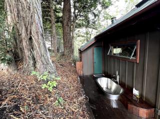 Half Moon Bay Glamping Getaway in an Idyllic Tree House and Cabin - Half Moon Bay - 0