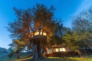 Half Moon Bay Glamping Getaway in an Idyllic Tree House and Cabin - Half Moon Bay - 8