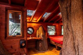 Half Moon Bay Glamping Getaway in an Idyllic Tree House and Cabin - Half Moon Bay - 3