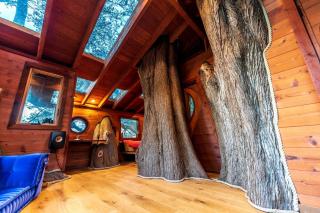 Half Moon Bay Glamping Getaway in an Idyllic Tree House and Cabin - Half Moon Bay - 1