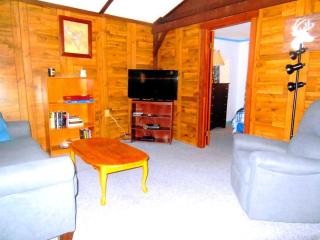 Rustic Cabin Rental near Akron, Ohio - 7