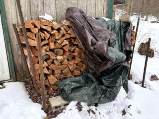Rustic Cabin Rental near Akron, Ohio - Dellroy - 1