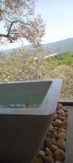Alex House - Ain Draham - 2