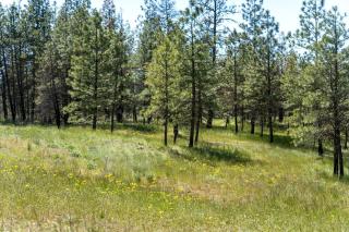 Spacious Rustic Cabin Rental with a Hot Tub in Cheney, Washington - Cheney - 3
