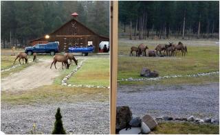 Cozy Lodge Rental near Bitterroot Valley, Montana - 2