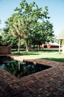 Enchanting Rental on a Former Pecan Plantation near Lexington, South Carolina - - 4