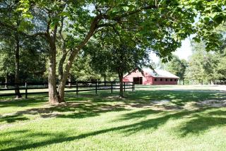 Beautiful Barn Cottage on a Former Pecan Plantation near Augusta, Georgia - - 3