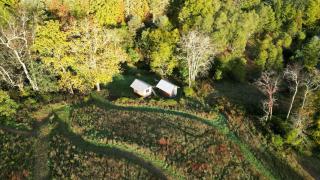 Rustic Cabin with Fire Pit Surrounded by Nature in Sugar Grove, West Virginia - Sugar Grove - 0