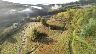 Off-Grid Cabin with Fire Pit and Trail Access Nestled in Nature in Sugar Grove, West Virginia - Sugar Grove - 2