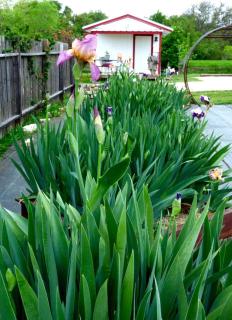 Peaceful Texas Cottage Rental near Austin - - 3