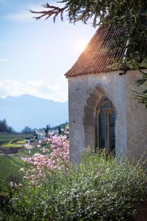 Schloss Freudenstein - Appiano sulla Strada del Vino - 8