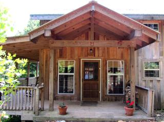 Cozy Cabin near the George Washington and Jefferson Forest in Virginia - - 8