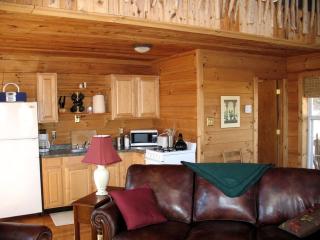 Cozy Cabin near the George Washington and Jefferson Forest in Virginia - - 4