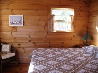 Cozy Cabin near the George Washington and Jefferson Forest in Virginia - - 1