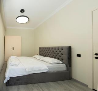 New Apartment with living room Tashkenti 10 - Tbilisi - 3