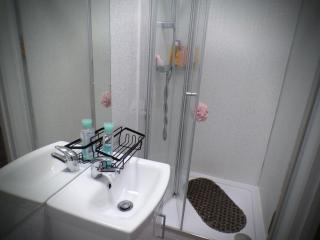 West Kensington-Central London-Ground Floor - Londra - 6