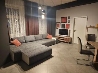 Apartments NESTL - Ptuj - 6