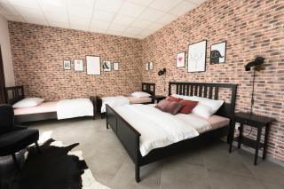 Apartments NESTL - Ptuj - 5