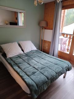 Studio à la montagne draps non fournis - Le Biot - 6