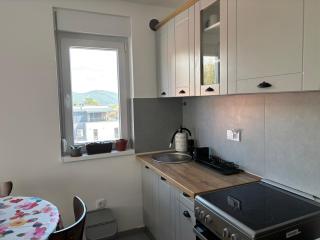 Apartman Mirka, Vrnjačka Banja - Vrnjačka Banja - 4