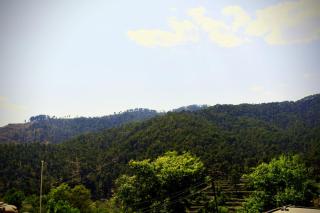 Jai maa haat Kali homestay - Almora - 3