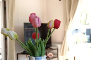 Lodge 'de Haere' - 5