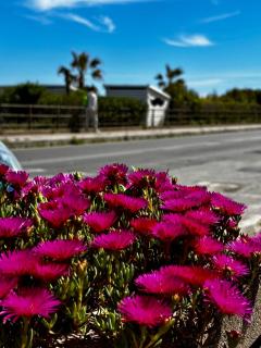 Poseidon- Seaview - Messina - 8