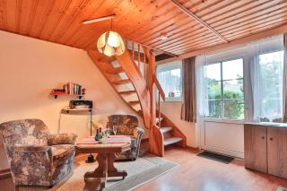 Waldblick am Haus Ein Wille - 6