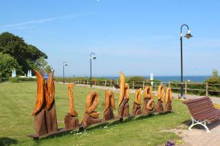 Denise die Ostsee Hummel - 9