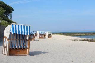Bungalow Krabbe im Ostseeidyll am Waldrand - 2