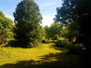 Paali cottage rent - 7