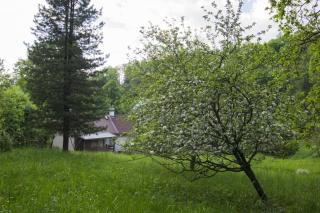 Ubytování u lesa pod roklí - Rudník - 1