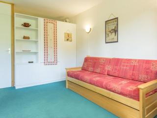 Studio lumineux avec balcon, proche des pistes - FR-1-181-2645 - La Plagne Tarentaise - 7
