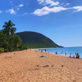 Appartement confortable avec piscine à Deshaies 60 m² - 1