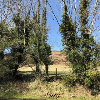 Cooley House - - 7