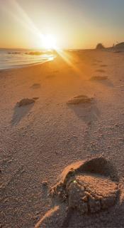 The Beach House - Fredericia - 5