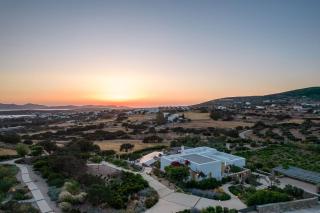 House of Old Olive Tree - Kampos - 9