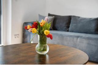 Terrace Loft by Botanical Garden - Greifswald - 4
