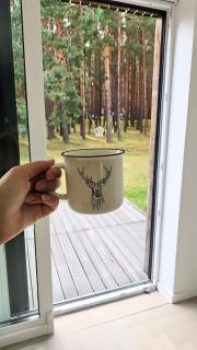 Vila MurMur Papėje - 1