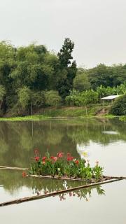 สะแกกรัง ฮาเฟ่น โฮมสเตย์ Sakaekrang Haven Homestay - 2