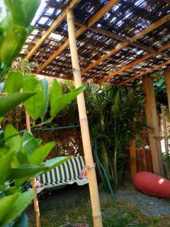 Bugambilia house - San Antonio - 3